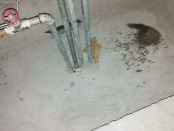 沁阳卫生间测漏水价格明细